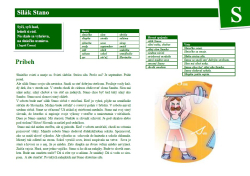 PŘÍRUČKA PRO PEDAGOGOV -  pdf formát